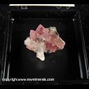 Mineral Specimen: Rhodochrosite (cleaved), Quartz, Sulfides from Blue Moon Pocket, Main Stope, Sweet Home Mine, Alma District, Colorado, June, 1996 Mineral Specimen: Rhodochrosite (cleaved), Quartz, Sulfides from Blue Moon Pocket, Main Stope, Sweet Home Mine, Alma District, Colorado, June, 1996