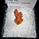 Mineral Specimen: Vanadinite from Pure Potential Mine, La Paz Co., Arizona Mineral Specimen: Vanadinite from Pure Potential Mine, La Paz Co., Arizona