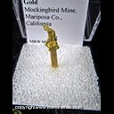Mineral Specimen: Gold from Muckingbird Mine, Mariposa Co., California