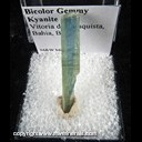 Mineral Specimen: Kyanite variety: Bicolor, Gemmy from Vitoria da Conquista, Bahia, Brazil