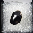Mineral Specimen: Almandine Garnet on Rhyolite from Garnet Hill, Ely, Robinson District, White Pine Co., Nevada Mineral Specimen: Almandine Garnet on Rhyolite from Garnet Hill, Ely, Robinson District, White Pine Co., Nevada