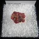Mineral Specimen: Spinel variety: Ruby from Luc Yen, Vietnam