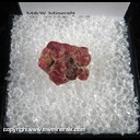 Mineral Specimen: Spinel variety: Ruby from Luc Yen, Vietnam Mineral Specimen: Spinel variety: Ruby from Luc Yen, Vietnam