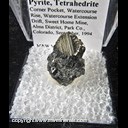 Mineral Specimen: Pyrite, Tetrahedrite from Corner Pocket, Watercourse Rise, Watercourse Extension Drift, Sweet Home Mine, Alma District, Park Co., Colorado, September, 1994