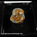 Mineral Specimen: Spessartine Garnet on Muscovite covered with Clinochlore from Tongbei, Fujian, China Mineral Specimen: Spessartine Garnet on Muscovite covered with Clinochlore from Tongbei, Fujian, China
