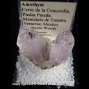 Mineral Specimen: Amethyst from Cerro de la Concordia, Piedra Parada, Municipio de Tatatila, Veracruz, Mexico, Ex. Norm Woods