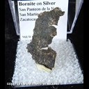 Mineral Specimen: Bornite on Sheet Silver from Mina La Noria, San Pantaleon de la Noria, San Martin, Mun. de Sombrerete, Zacatecas, Mexico