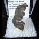 Mineral Specimen: Bornite on Sheet Silver from Mina La Noria, San Pantaleon de la Noria, San Martin, Mun. de Sombrerete, Zacatecas, Mexico Mineral Specimen: Bornite on Sheet Silver from Mina La Noria, San Pantaleon de la Noria, San Martin, Mun. de Sombrerete, Zacatecas, Mexico