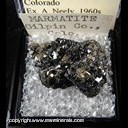 Mineral Specimen: Sphalerite variety: Marmatite, Pyrite from Gilpin Co., Colorado Ex. A. Neely, 1960s Mineral Specimen: Sphalerite variety: Marmatite, Pyrite from Gilpin Co., Colorado Ex. A. Neely, 1960s