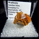 Mineral Specimen: Wulfenite from Jianshan Mine, Ruoqiang Co., Bayin'gholin Auton. Pref., Xinjiang Auton. Region, China