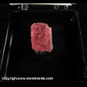 Mineral Specimen: Rhodochrosite Cleavage from 06-95 Pocket, New North Tetradrite Drift, Sweet Home Mine, Alma District, June, 1995 Mineral Specimen: Rhodochrosite Cleavage from 06-95 Pocket, New North Tetradrite Drift, Sweet Home Mine, Alma District, June, 1995