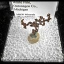 Mineral Specimen: Copper Chain Crystals from White Pine Mine, White Pine, Ontonagon County, Michigan Mineral Specimen: Copper Chain Crystals from White Pine Mine, White Pine, Ontonagon County, Michigan