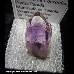 Mineral Specimen: Amethyst Phantom from Cerro de la Concordia, Piedra Parada, Municipio de Tatatila, Veracruz, Mexico, Ex. Norm Woods