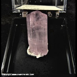 Mineral Specimen: Tourmaline from Kamdesh dist., Nuristan, Afghanistan Mineral Specimen: Tourmaline from Kamdesh dist., Nuristan, Afghanistan