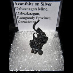 Mineral Specimen: Acanthite on Silver from Dzhezazgan Mine, Dzhezkazgan, Karagandy Province, Kazakhstan