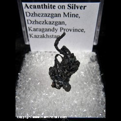 Mineral Specimen: Acanthite on Silver from Dzhezazgan Mine, Dzhezkazgan, Karagandy Province, Kazakhstan Mineral Specimen: Acanthite on Silver from Dzhezazgan Mine, Dzhezkazgan, Karagandy Province, Kazakhstan