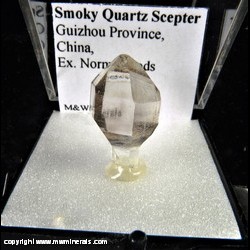 Mineral Specimen: Quartz, Smoky Scepter from Guizhou Province, China, Ex. Norm Woods Mineral Specimen: Quartz, Smoky Scepter from Guizhou Province, China, Ex. Norm Woods
