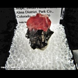 Mineral Specimen: Rhodochrosite, Tetrahedrite, Quartz, other Sulfides from Blue Moon Pocket, Main Stope, Sweet Home Mine, Alma District, Colorado, June, 1996 Mineral Specimen: Rhodochrosite, Tetrahedrite, Quartz, other Sulfides from Blue Moon Pocket, Main Stope, Sweet Home Mine, Alma District, Colorado, June, 1996
