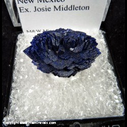 Mineral Specimen: Azurite from Grant Co., New Mexico, Ex. Josie Middleton Mineral Specimen: Azurite from Grant Co., New Mexico, Ex. Josie Middleton