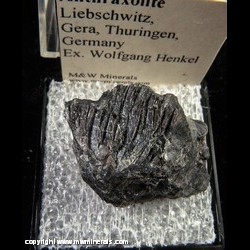 Mineral Specimen: Anthraxolite from Liebschwitz, Gera, Thuringen, Germany, Ex. Wolfgang Henkel