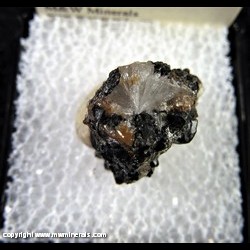 Mineral Specimen: Hemimorphite, Todorokite, Franklinite, minor Willemite from Franklin, Sussex Co., New Jersey