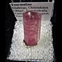 Mineral Specimen: Tourmaline from Malkhan, Chitinskaya Oblast', Transbaikalia, Eastern Siberia Region, Russia Mineral Specimen: Tourmaline from Malkhan, Chitinskaya Oblast', Transbaikalia, Eastern Siberia Region, Russia