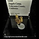 Mineral Specimen: Gold Crystals from Angels Camp, Angels Camp Mining Dist., Mother Lode Belt, Calaveras Co., California