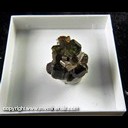 Mineral Specimen: Uvite Tourmaline (gemmy and pleochoric), Magnesite from Brumado, Bahia, Brazil, Ex. Luiz Menezes (micromount box - 25 x 25 mm)
