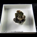 Mineral Specimen: Uvite Tourmaline (gemmy and pleochoric), Magnesite from Brumado, Bahia, Brazil, Ex. Luiz Menezes (micromount box - 25 x 25 mm) Mineral Specimen: Uvite Tourmaline (gemmy and pleochoric), Magnesite from Brumado, Bahia, Brazil, Ex. Luiz Menezes (micromount box - 25 x 25 mm)