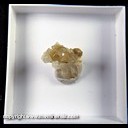 Mineral Specimen: Kosnarite on Albite from Jenipapo dist., Itinga, Minas Gerais, Brazil, Ex. Luiz Menezes (micromount box - 25 x 25 mm)