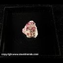 Mineral Specimen: Variscite on Albite from Lavra do Eduardo, Conselheiro Pena, Minas Gerais, Brazil, Ex. Luiz Menezes (micromount box - 25 x 25 mm)