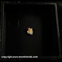 Mineral Specimen: Eosphorite from Lavra da Ilha,Itinga, Minas Gerais, Brazil, Ex. Luiz Menezes (micromount box - 22 x 22 mm)