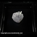 Mineral Specimen: Fluorite, Quartz from Strawberry Pocket, Fluorite Rise, Sweet Home Mine, Alma District, Colorado, 1998