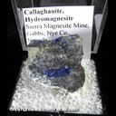 Mineral Specimen: Callaghanite (TL), Hydromagnesite from Sierra Magnesite Mine, Gabbs, Nye Co., Nevada Mineral Specimen: Callaghanite (TL), Hydromagnesite from Sierra Magnesite Mine, Gabbs, Nye Co., Nevada