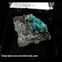 Mineral Specimen: Yvonite(TL) on Geminite from Salsigne mine, Salsigne, Carcassonne, Aude, Occitanie, France