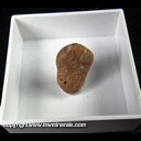 Mineral Specimen: Bahianite from Pico das Almas river, Paramirim das Crioulas, Erico Cardoso, Bahia, Brazi, lEx. Luiz Menezes (micromount box - 25 x 25 mm) Mineral Specimen: Bahianite from Pico das Almas river, Paramirim das Crioulas, Erico Cardoso, Bahia, Brazi, lEx. Luiz Menezes (micromount box - 25 x 25 mm)