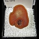 Mineral Specimen: Agate thick slice, tumble polished from Chihuahua, Mexico, cut & polished by Don Langham prior to 1975