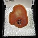 Mineral Specimen: Agate thick slice, tumble polished from Chihuahua, Mexico, cut & polished by Don Langham prior to 1975 Mineral Specimen: Agate thick slice, tumble polished from Chihuahua, Mexico, cut & polished by Don Langham prior to 1975