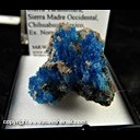 Mineral Specimen: Chalcanthite from Barrance del Cobre, Sierra Tarahumara, Sierra Madre Occidental, Chihuahua, Mexico, Ex. Norm Woods Mineral Specimen: Chalcanthite from Barrance del Cobre, Sierra Tarahumara, Sierra Madre Occidental, Chihuahua, Mexico, Ex. Norm Woods