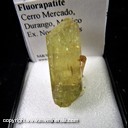 Mineral Specimen: Fluorapatite from Cerro Mercado, Durango, Mexico, Ex. Norm Woods