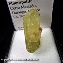 Mineral Specimen: Fluorapatite from Cerro Mercado, Durango, Mexico, Ex. Norm Woods Mineral Specimen: Fluorapatite from Cerro Mercado, Durango, Mexico, Ex. Norm Woods