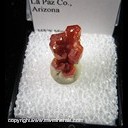 Mineral Specimen: Vanadinite with Hopper Growth Habit from Pure Potential Mine, La Paz Co., Arizona Mineral Specimen: Vanadinite with Hopper Growth Habit from Pure Potential Mine, La Paz Co., Arizona