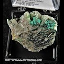 Mineral Specimen: Connellite, Mixite, Chrysocolla from South Pit, Gold Hill Mine, Tooele Co., Utah, collected by Pat Haynes, 8/14/2007