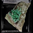 Mineral Specimen: Conichalcite, Olivenite from South Pit, Gold Hill Mine, Tooele Co., Utah, collected by Pat Haynes, 8/14/2007