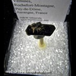 Mineral Specimen: Augite from Chevalard river alluvials, Vernines, Rochefort-Montagne, Puy-de-Dome, Auvergne, France