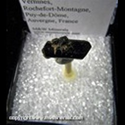 Mineral Specimen: Augite from Chevalard river alluvials, Vernines, Rochefort-Montagne, Puy-de-Dome, Auvergne, France Mineral Specimen: Augite from Chevalard river alluvials, Vernines, Rochefort-Montagne, Puy-de-Dome, Auvergne, France