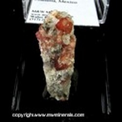 Mineral Specimen: Grossular Garnet variety: Raspberry, Quartz from Sierra Cruces, Coahuila, Mexico Mineral Specimen: Grossular Garnet variety: Raspberry, Quartz from Sierra Cruces, Coahuila, Mexico