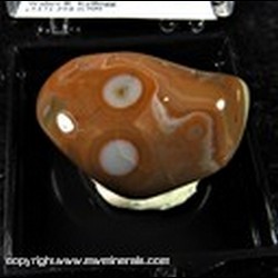Mineral Specimen: Agate variety: Lake Superior Eye Agate from Whitefish Point, Chippewa Co., Michigan, W. Kellogg, early 1990s Mineral Specimen: Agate variety: Lake Superior Eye Agate from Whitefish Point, Chippewa Co., Michigan, W. Kellogg, early 1990s