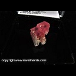 Mineral Specimen: Rhodochrosite, Quartz from Blue Moon Pocket, Main Stope, Sweet Home Mine, Alma District, Colorado, June, 1996 Mineral Specimen: Rhodochrosite, Quartz from Blue Moon Pocket, Main Stope, Sweet Home Mine, Alma District, Colorado, June, 1996