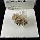 Mineral Specimen: Aragonite from Highway 61 roadcut, Lewis Co., Missouri, Ex. Norm Woods Mineral Specimen: Aragonite from Highway 61 roadcut, Lewis Co., Missouri, Ex. Norm Woods
